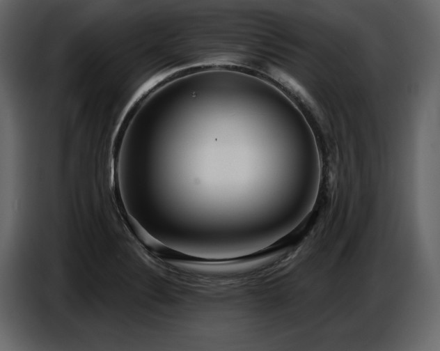 X0000087741324200705071045
