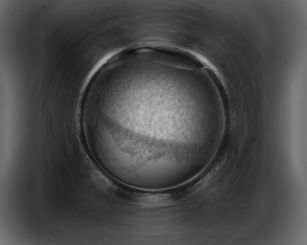 X0000087741325200705071045