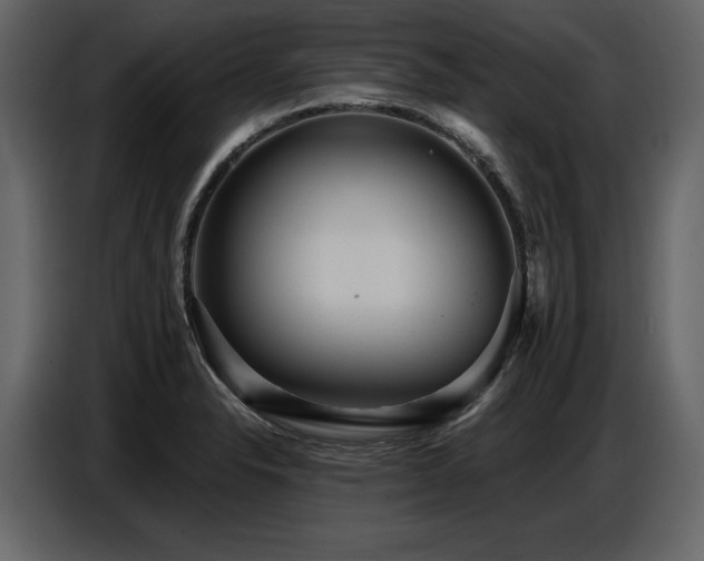 X0000087741326200705071045