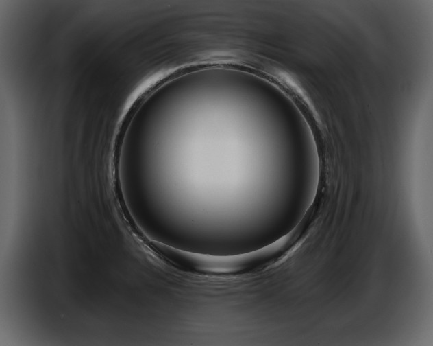 X0000087741328200705071045