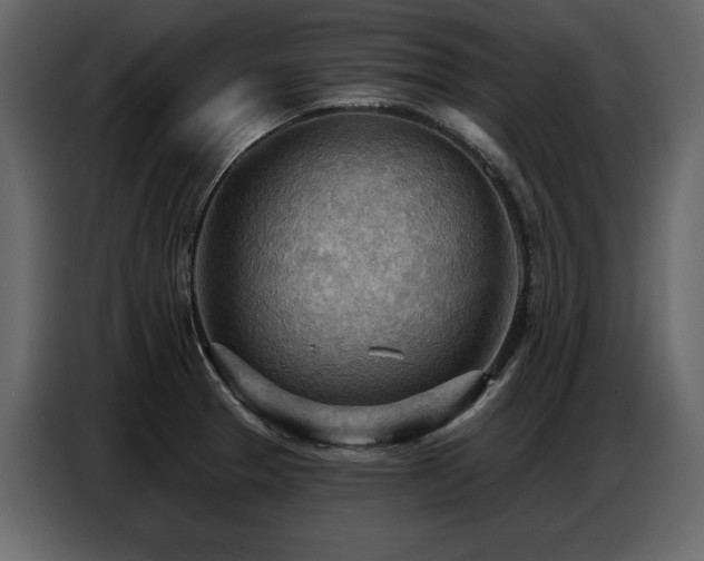 X0000087741329200705071045