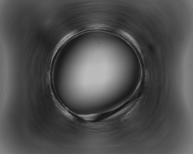 X0000087741330200705071045