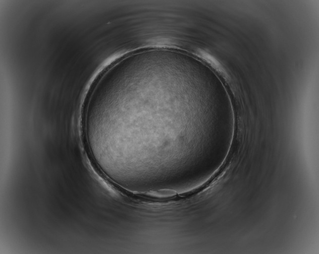 X0000087741331200705071045