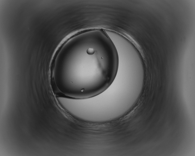 X0000087741332200705071045