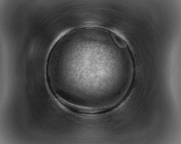 X0000087741333200705071045