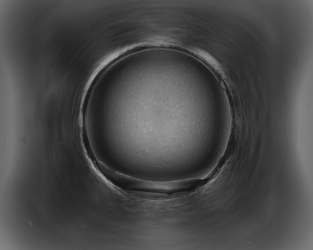 X0000087741335200705071045