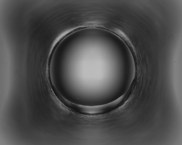 X0000087741336200705071045