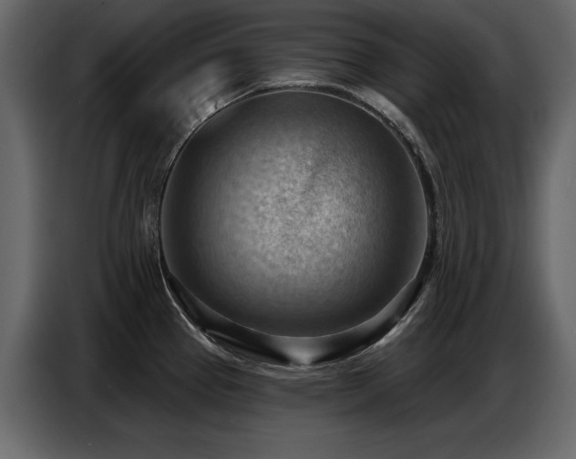 X0000087741337200705071045