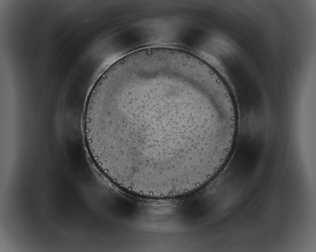 X0000087741338200705071045