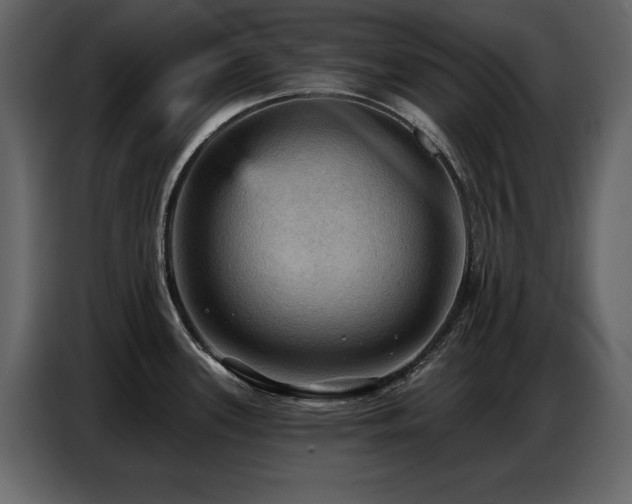X0000087741339200705071045