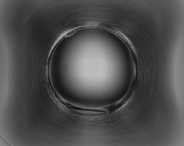 X0000087741340200705071045