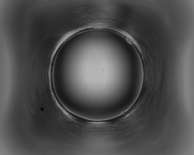 X0000087741343200705071045