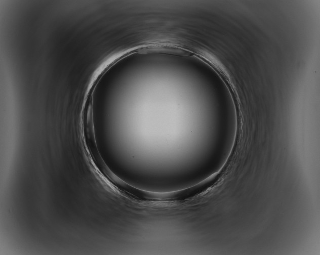 X0000087741344200705071045