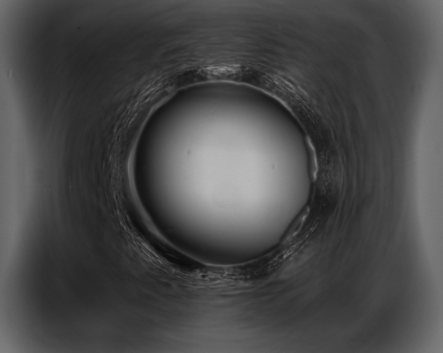 X0000087741345200705071044
