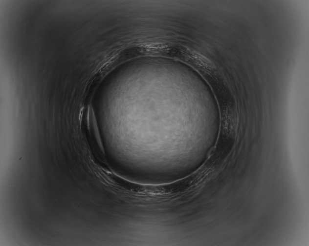 X0000087741346200705071044