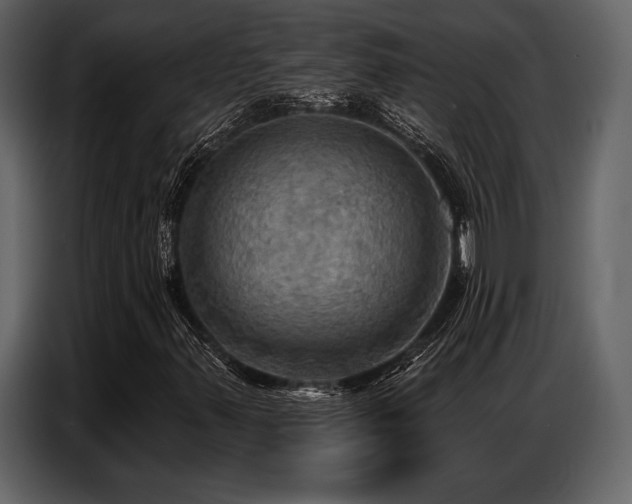 X0000087741347200705071044