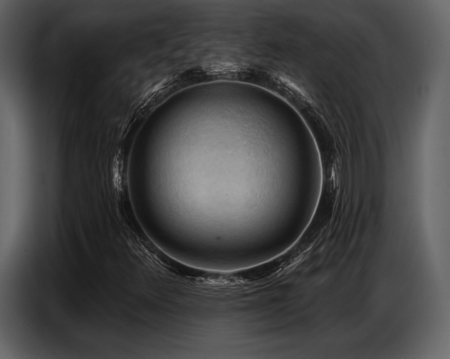 X0000087741348200705071044