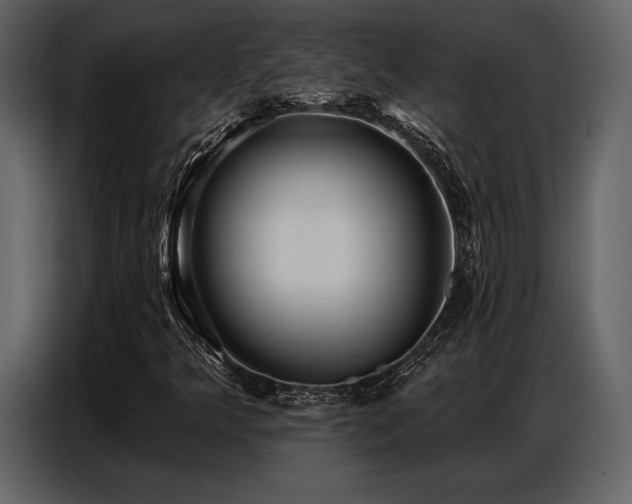 X0000087741349200705071044