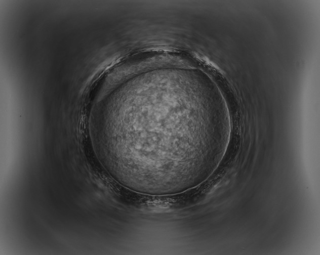 X0000087741351200705071044