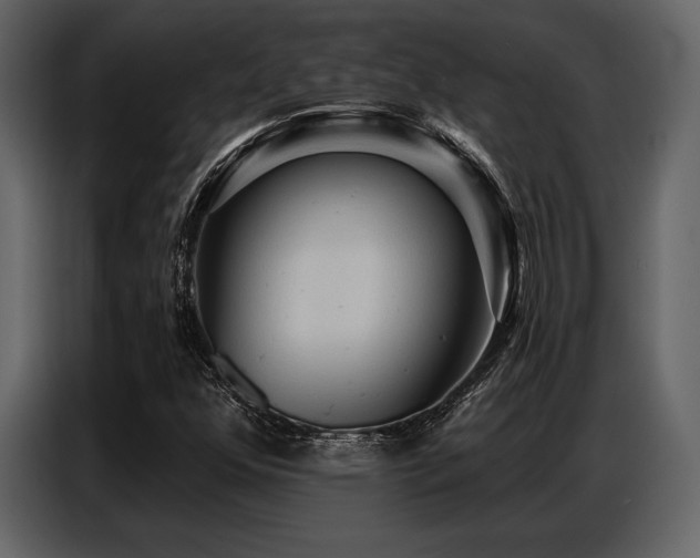 X0000087741352200705071044