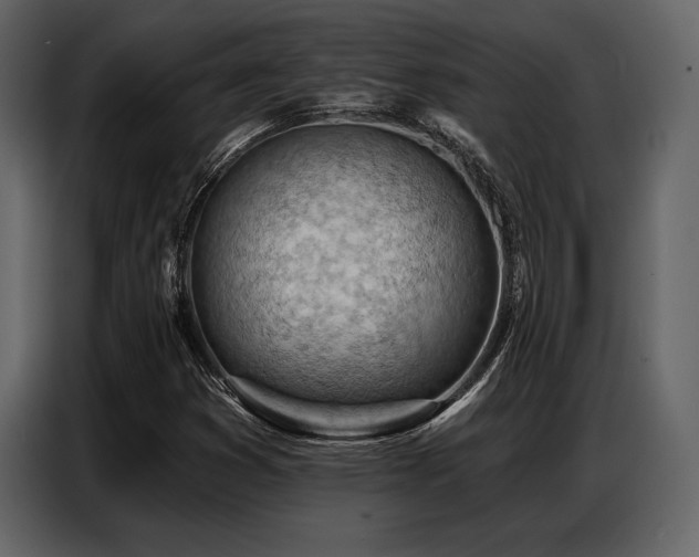 X0000087741353200705071044