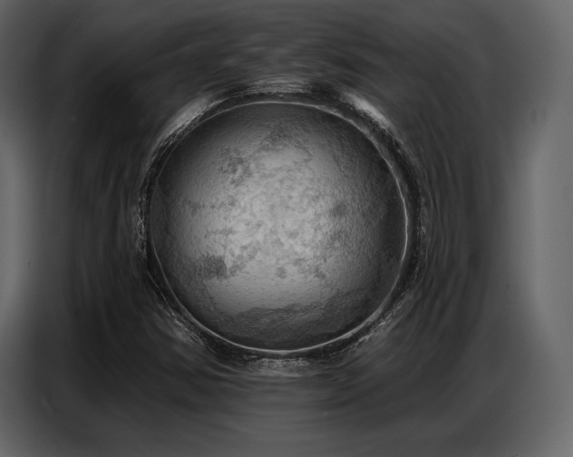 X0000087741354200705071044