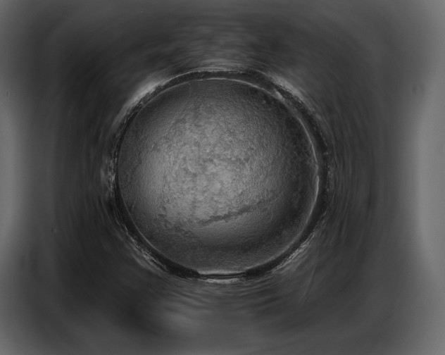 X0000087741355200705071044