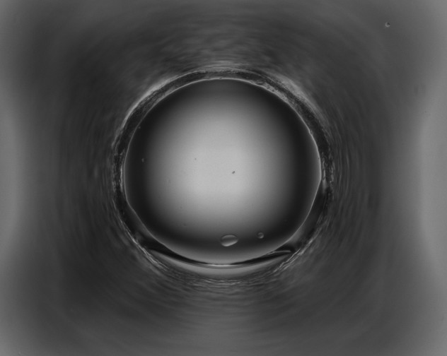 X0000087741356200705071044