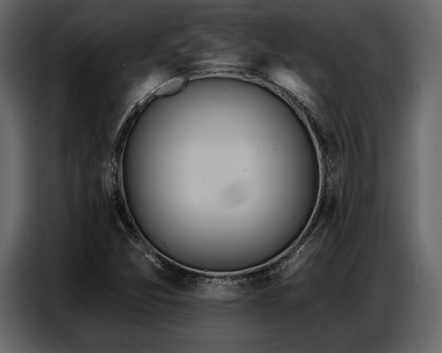 X0000087741357200705071044