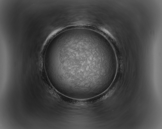 X0000087741358200705071044