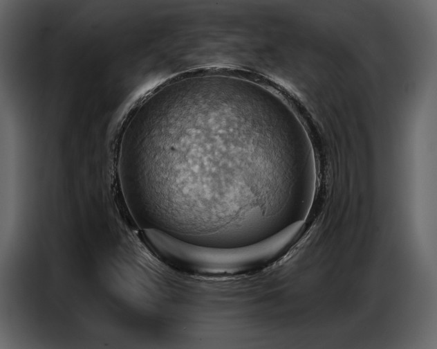 X0000087741359200705071044
