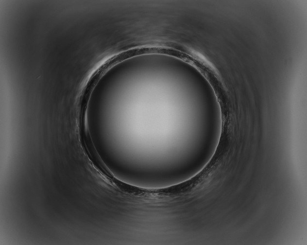 X0000087741360200705071044