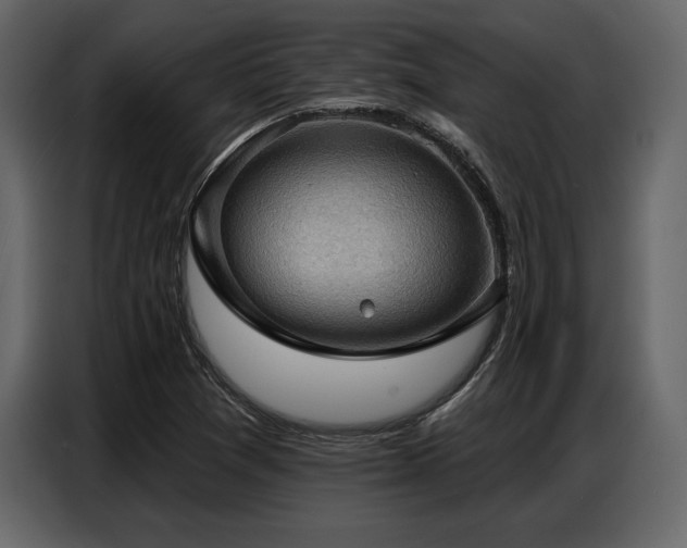 X0000087741361200705071044