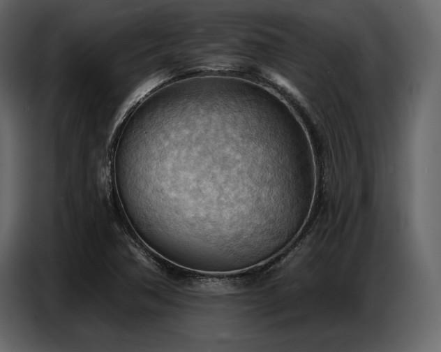 X0000087741362200705071044