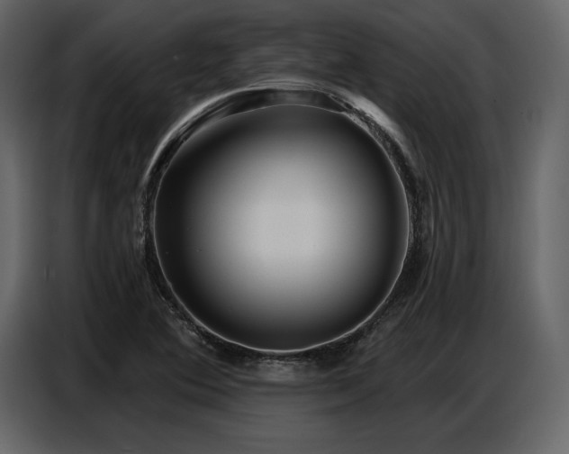 X0000087741364200705071044