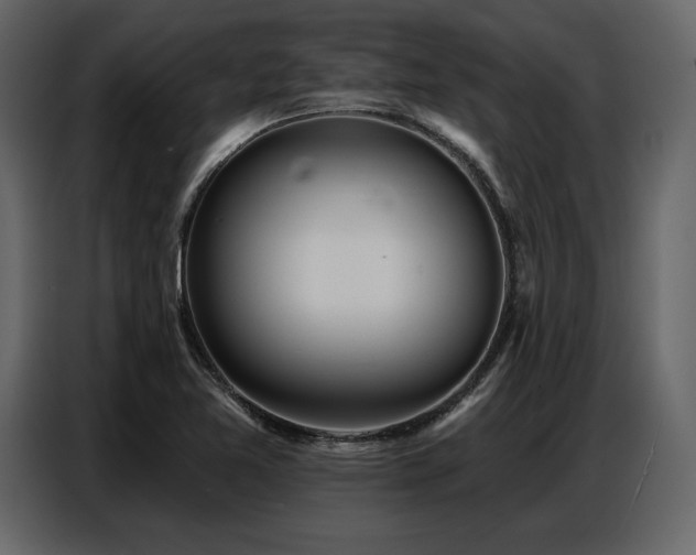 X0000087741365200705071044