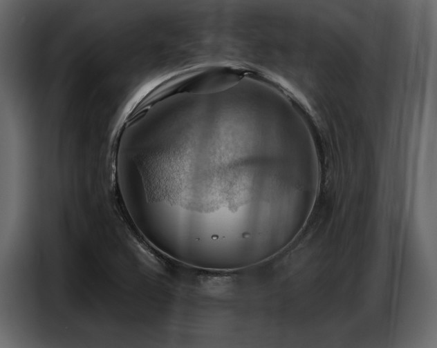 X0000087741367200705071044