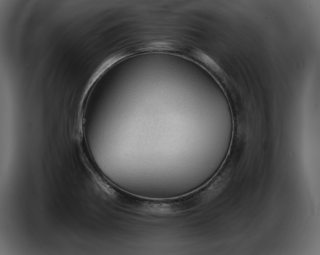 X0000087741370200705071044