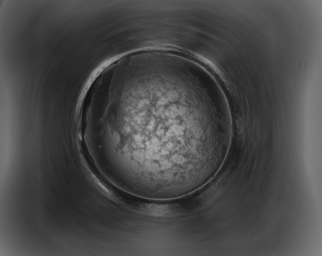 X0000087741371200705071044