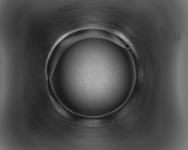 X0000087741372200705071044