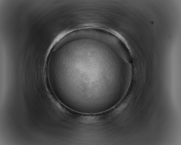 X0000087741373200705071044
