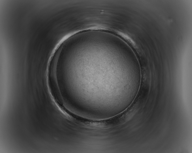 X0000087741375200705071044