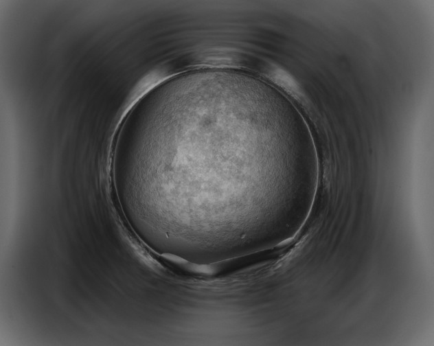 X0000087741378200705071044