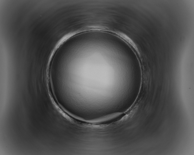 X0000087741381200705071044