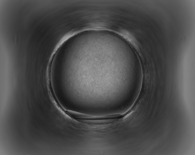 X0000087741382200705071044
