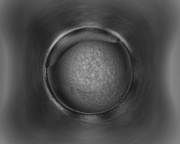 X0000087741383200705071044