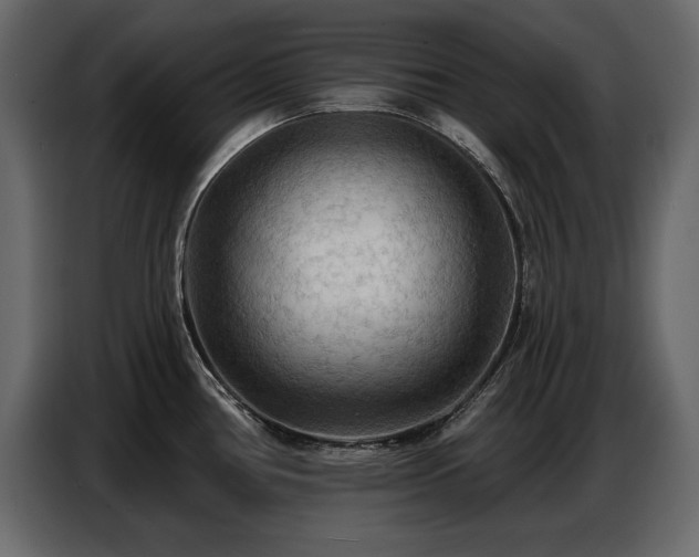 X0000087741386200705071044