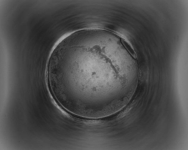 X0000087741387200705071044
