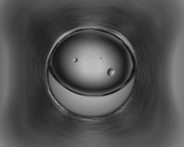 X0000087741388200705071044