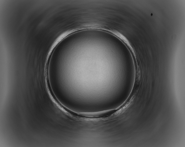 X0000087741389200705071044